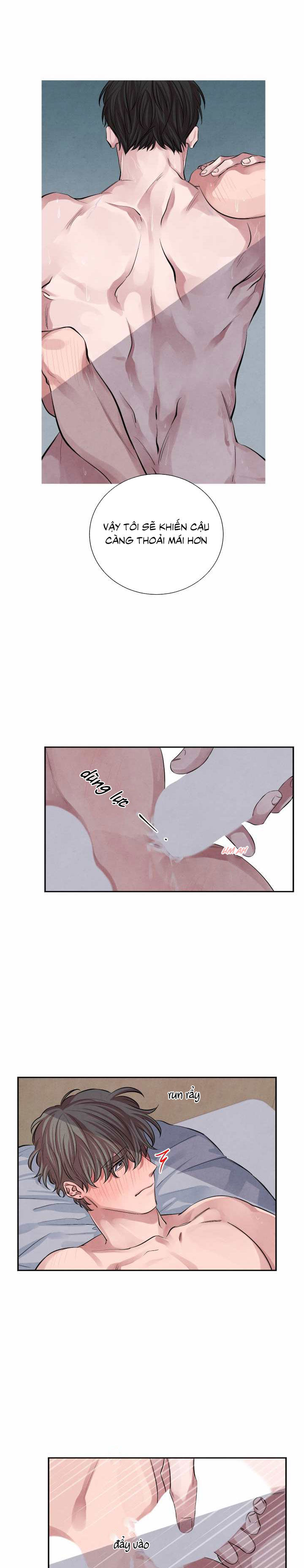 tiếng san hô nở chapter 12 1