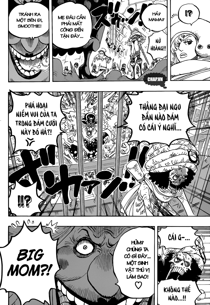 One Piece Chapter 849 - Trang 15