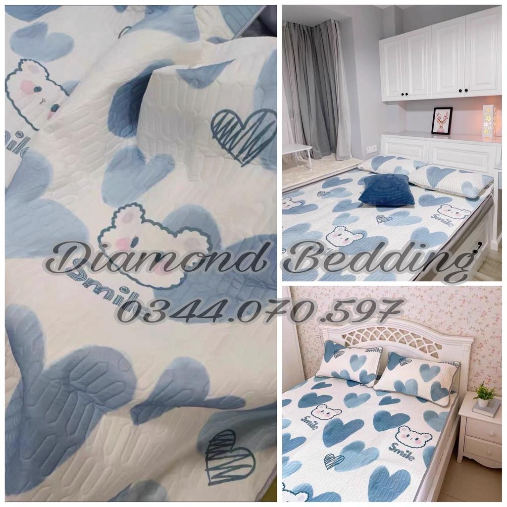 Chiếu điều hoà cao su non 2D Tencel Latex có in hoạ tiếtH&H BEDDING