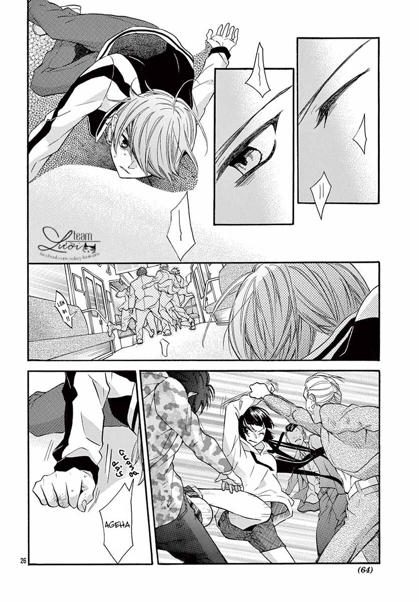 chàng rể giả nhân giả nghĩa chapter 5 26