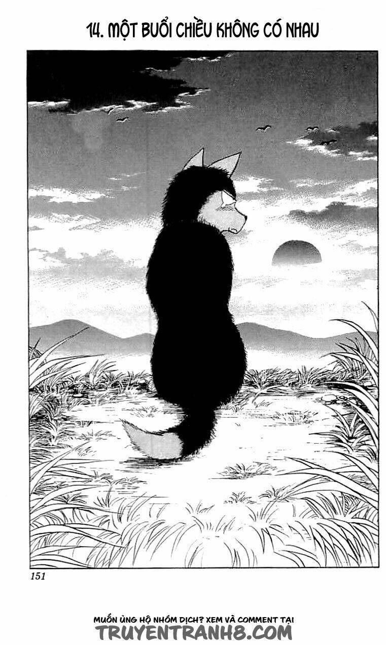 wild half chapter 14 1