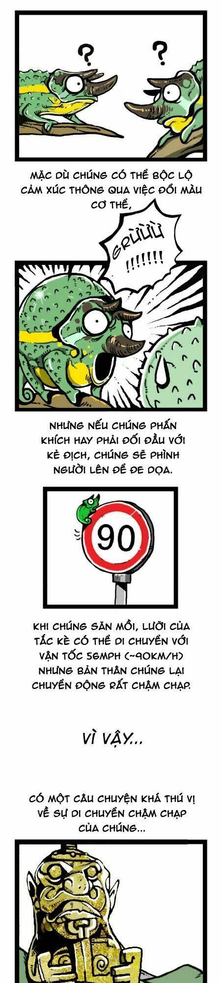 earth, human, and animal chapter 19 17