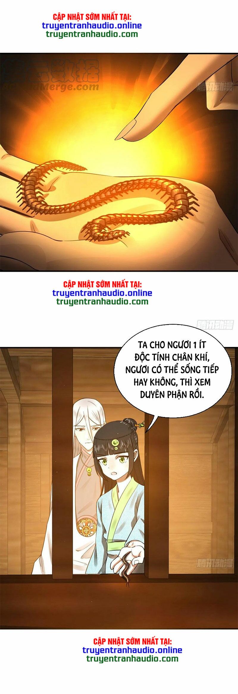 Ta Luyện Khí Ba Ngàn Năm chapter 160.2 12