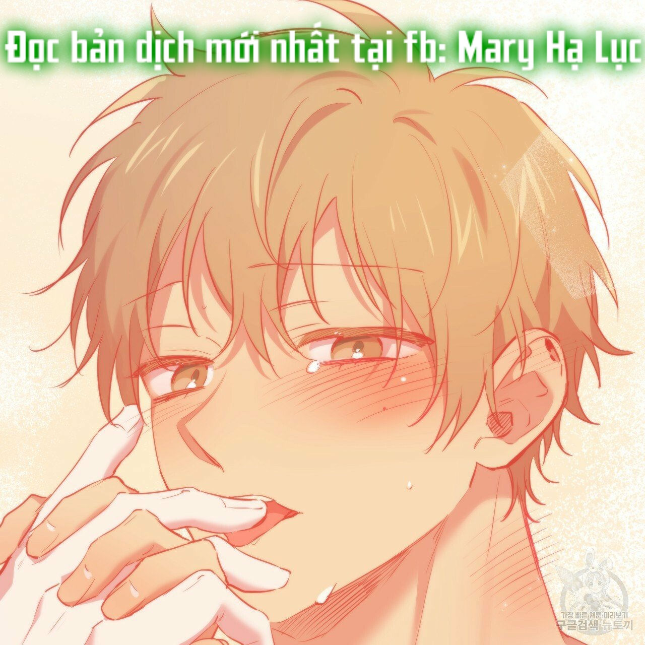 những chú thỏ của hapypy chapter 46 55