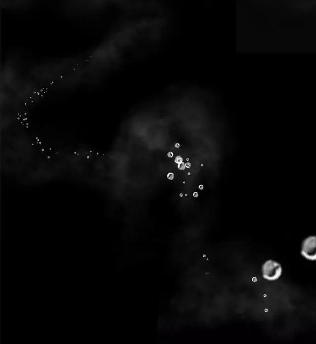 thực nhị chapter 12.1 29