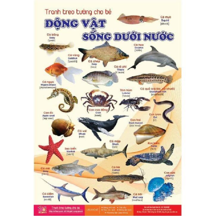 Bộ tranh treo tường về thế giới xung quanh 14 chủ đề cho bé (39k là gồm cả 14 chủ đề)