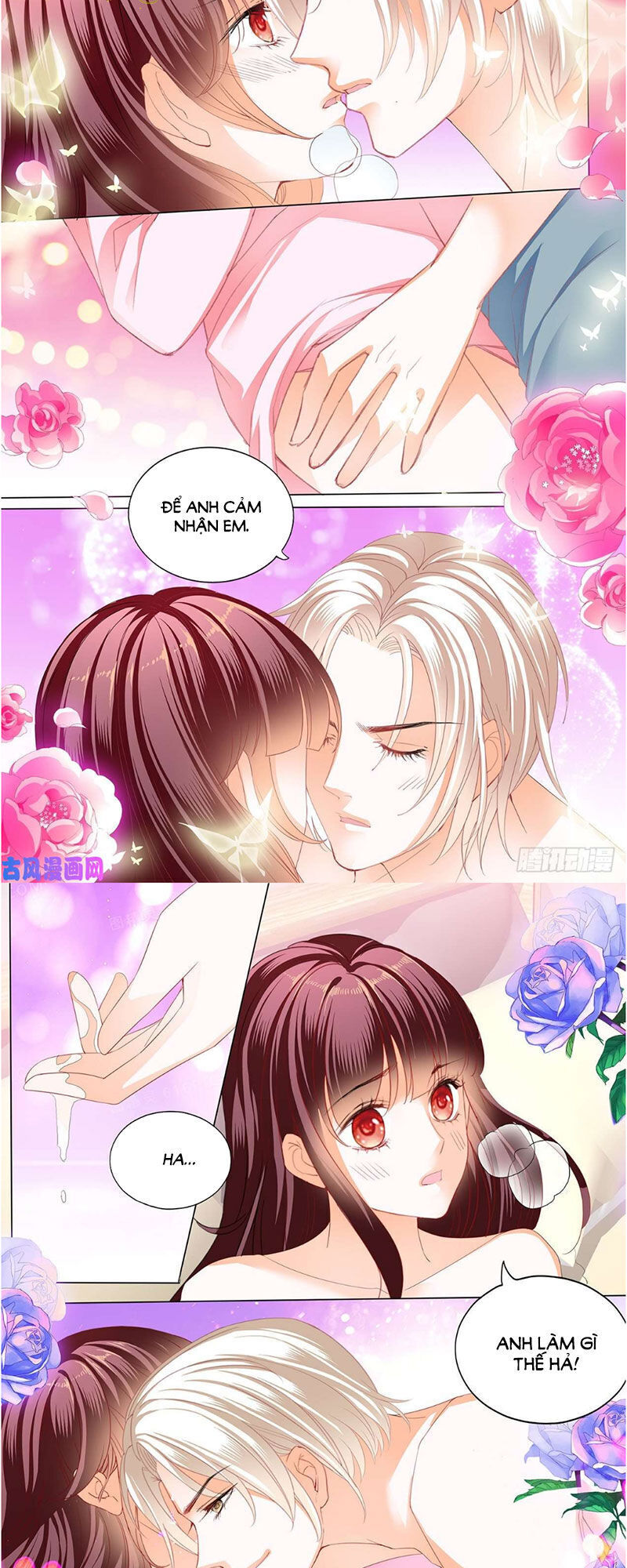 lóe thiểm hôn kiều thê mơ tưởng trốn chapter 263 11