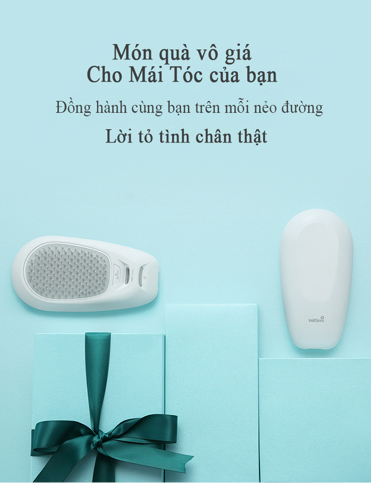 Lược chăm sóc tóc ion âm  wellskins fz200