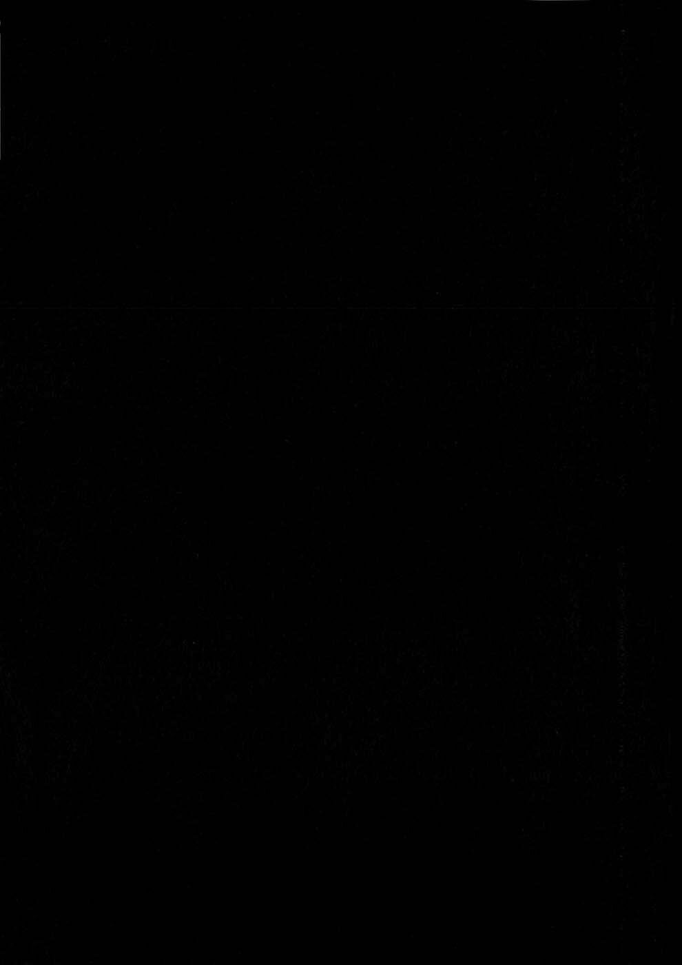 fate/strange fake chapter 6.5 11