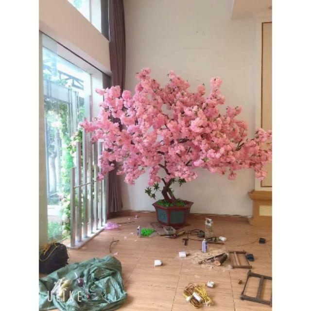 50 cành hoa anh đào bông xù. Làm cây, trang trí nhà cửa, quán cafe, decor phòng, phụ kiện chụp ảnh
