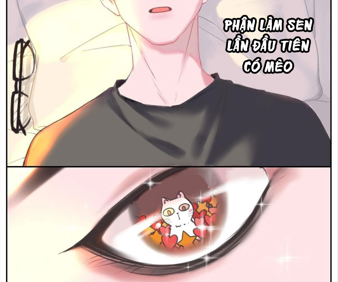 social cat chapter 1 46