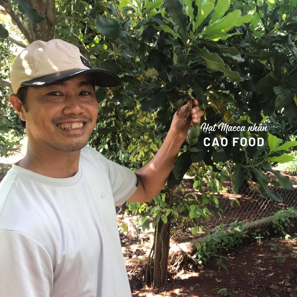 Hạt Macca Đaklak nhân CAO Food loại 1 to tròn tự nhiên, giòn bùi từng hạt cắn sướng răng