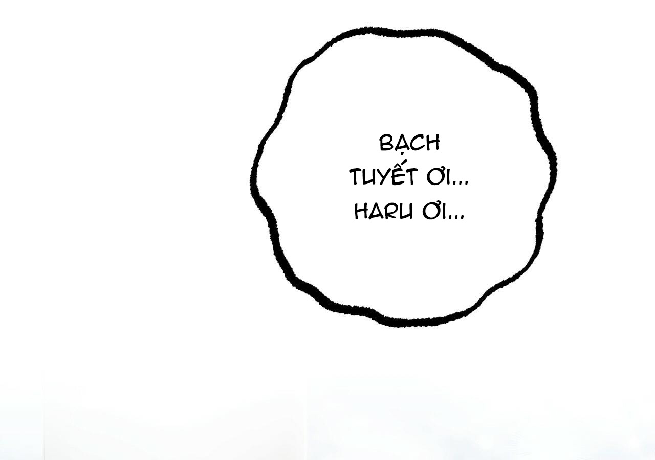 đàn thỏ của habibi chapter 20 186