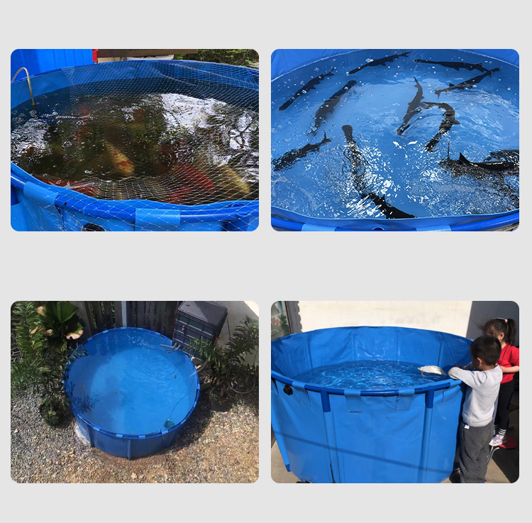 Tank Bạt dưỡng cá koi gấp gọn