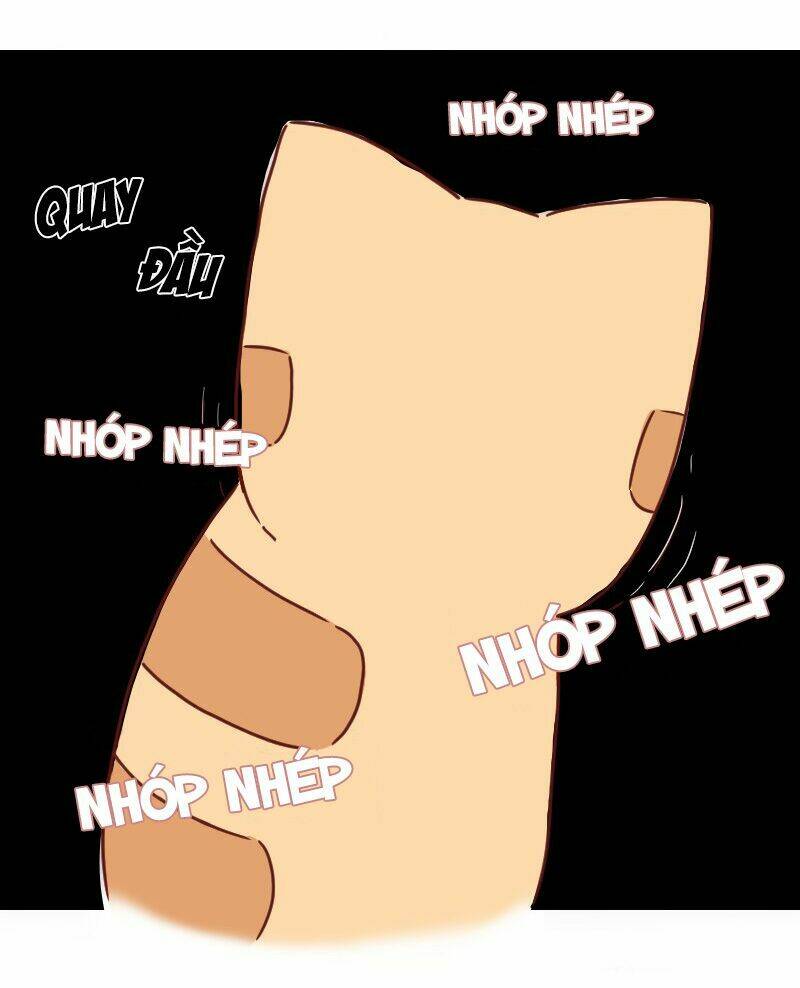 saphie: chú mèo một mắt chapter 29 5