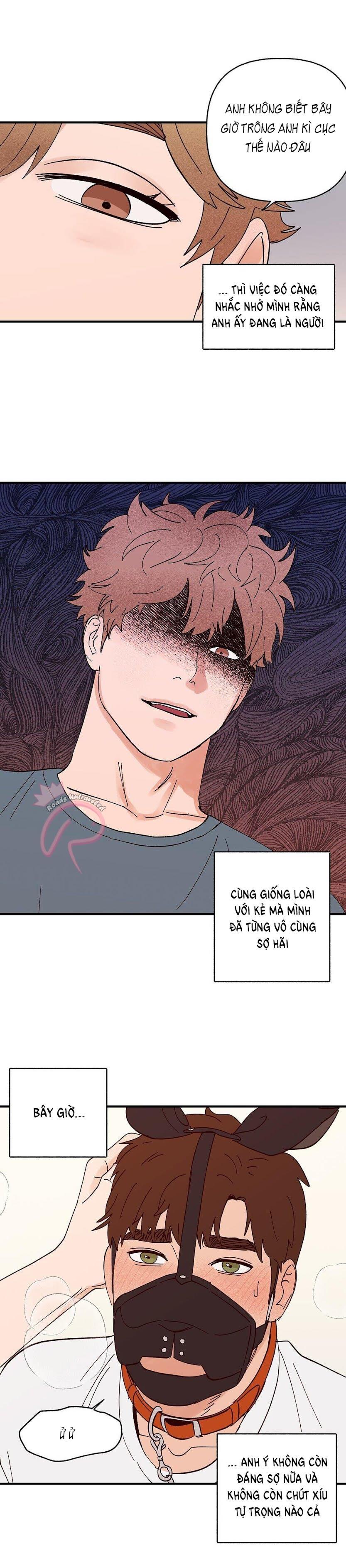 CHỦ NHÂN CỦA CẬU CHỦ chapter 19