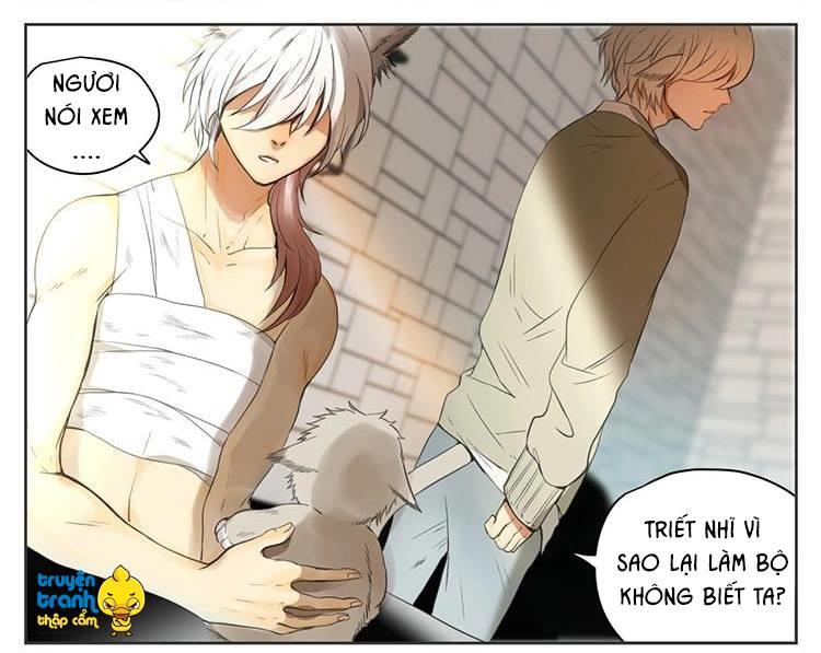 cứu mạng ! loài mèo thống trị thế giới rồi ! chapter 29 12