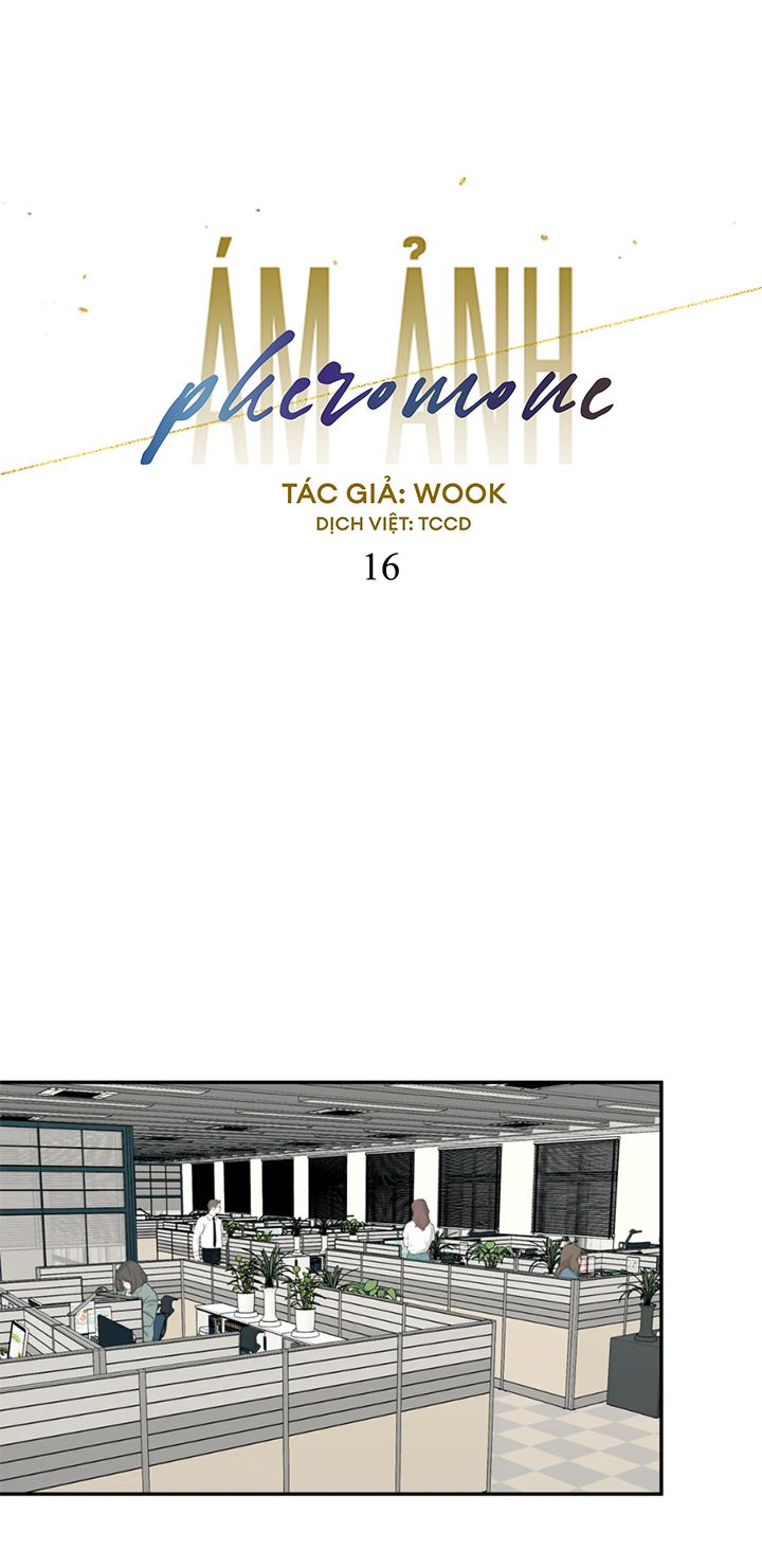 ám ảnh pheromone chapter 16 5