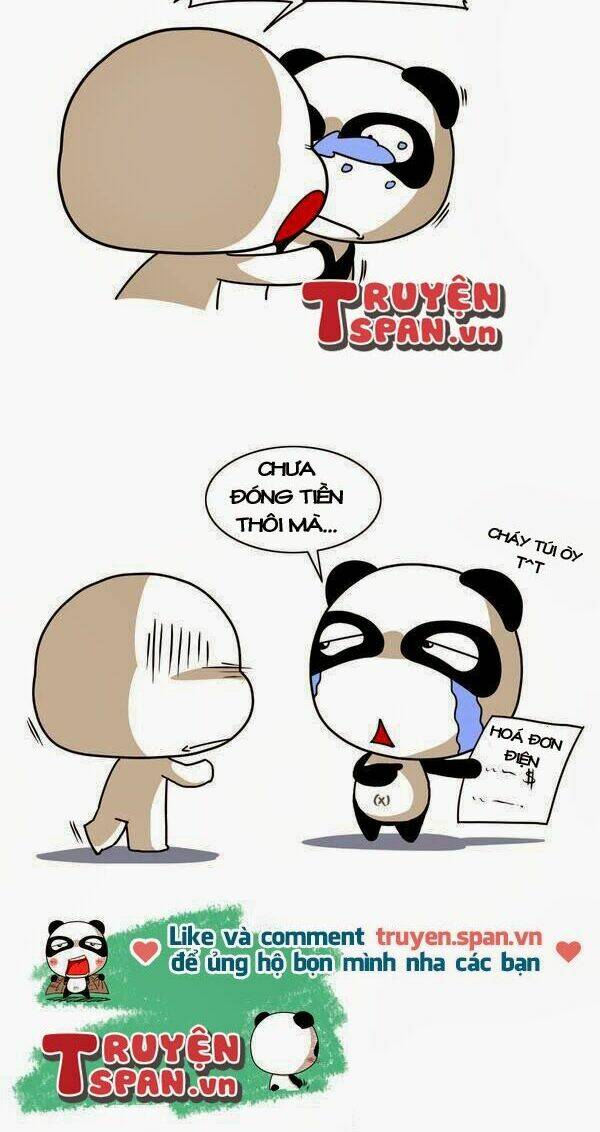 gấu ngốc và những người bạn chapter 23 7