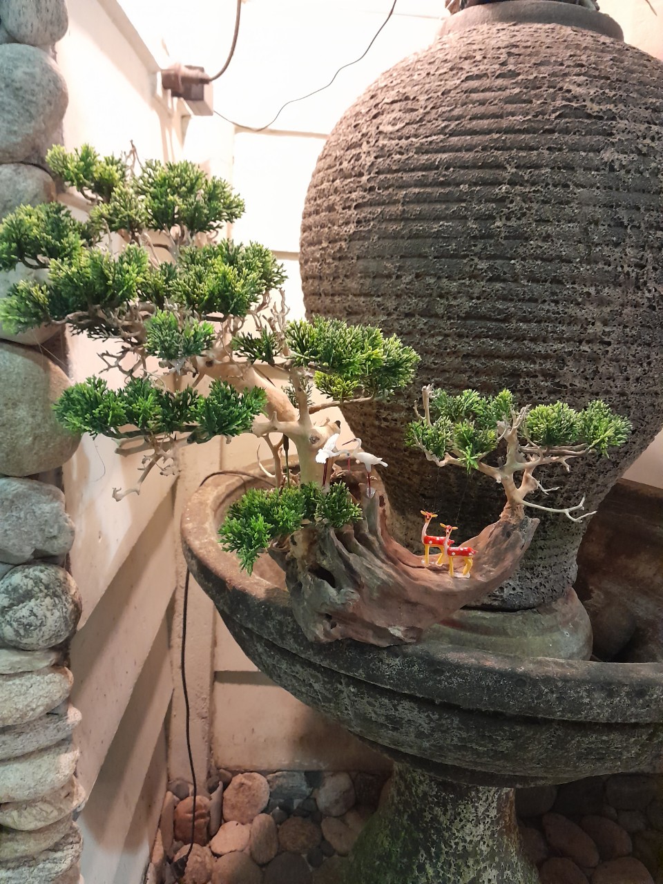 Bonsai Bể Cá – Cây Bonsai Đặt Phòng Khách