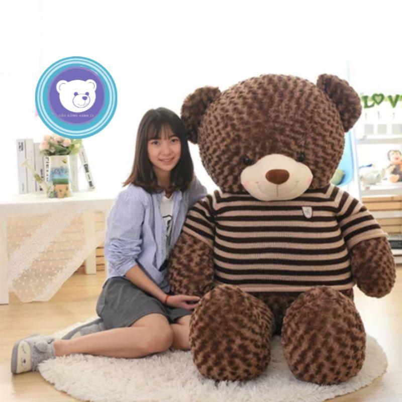 Gấu bông teddy - Teddy mặc áo len - Gấu Bông Hana