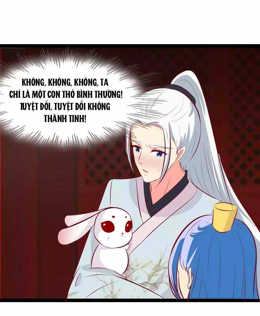 thỏ yêu tiểu vương phi chapter 78 25