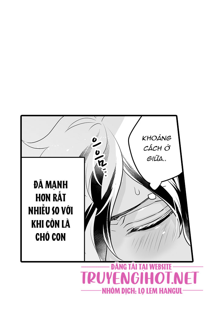 gấu ngủ đông chapter 4.3 5