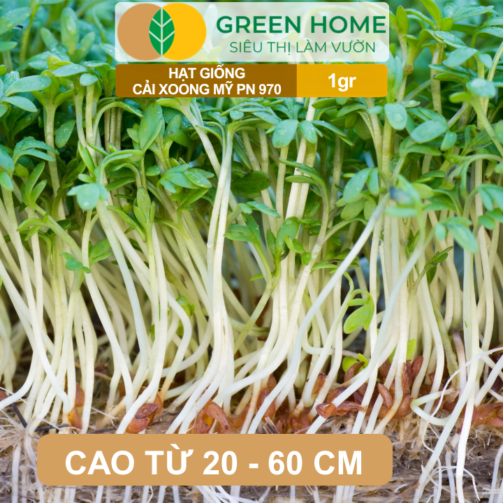 Hạt Giống Rau Xà Lách Xoong GreenHome, Gói 1gr, Dễ Trồng, Nảy Mầm Cao, Thu Hoạch Nhanh R01