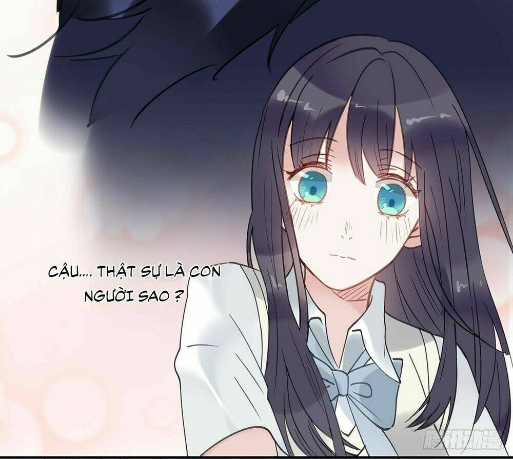phi nhiên hướng phong chapter 1.5 38