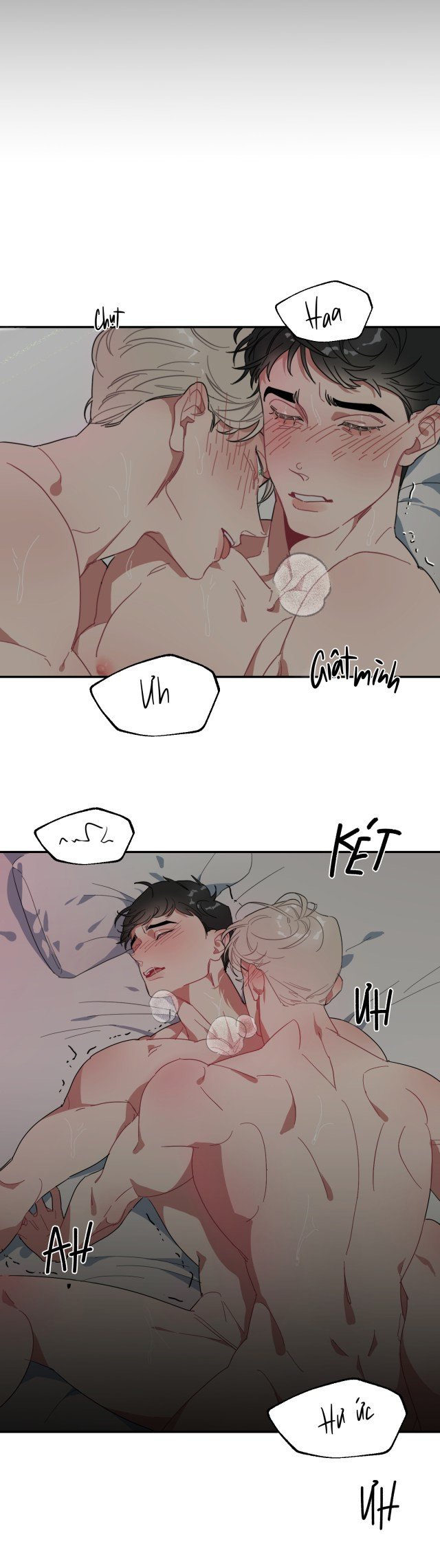 ngọt và lạnh chapter 1.5 11