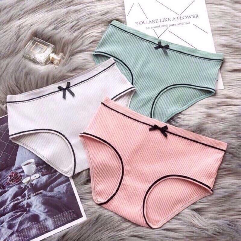 Set 10 Quần lót nữ cotton tăm viền đen cạp nơ HANA kháng khuẩn xuất Nhật