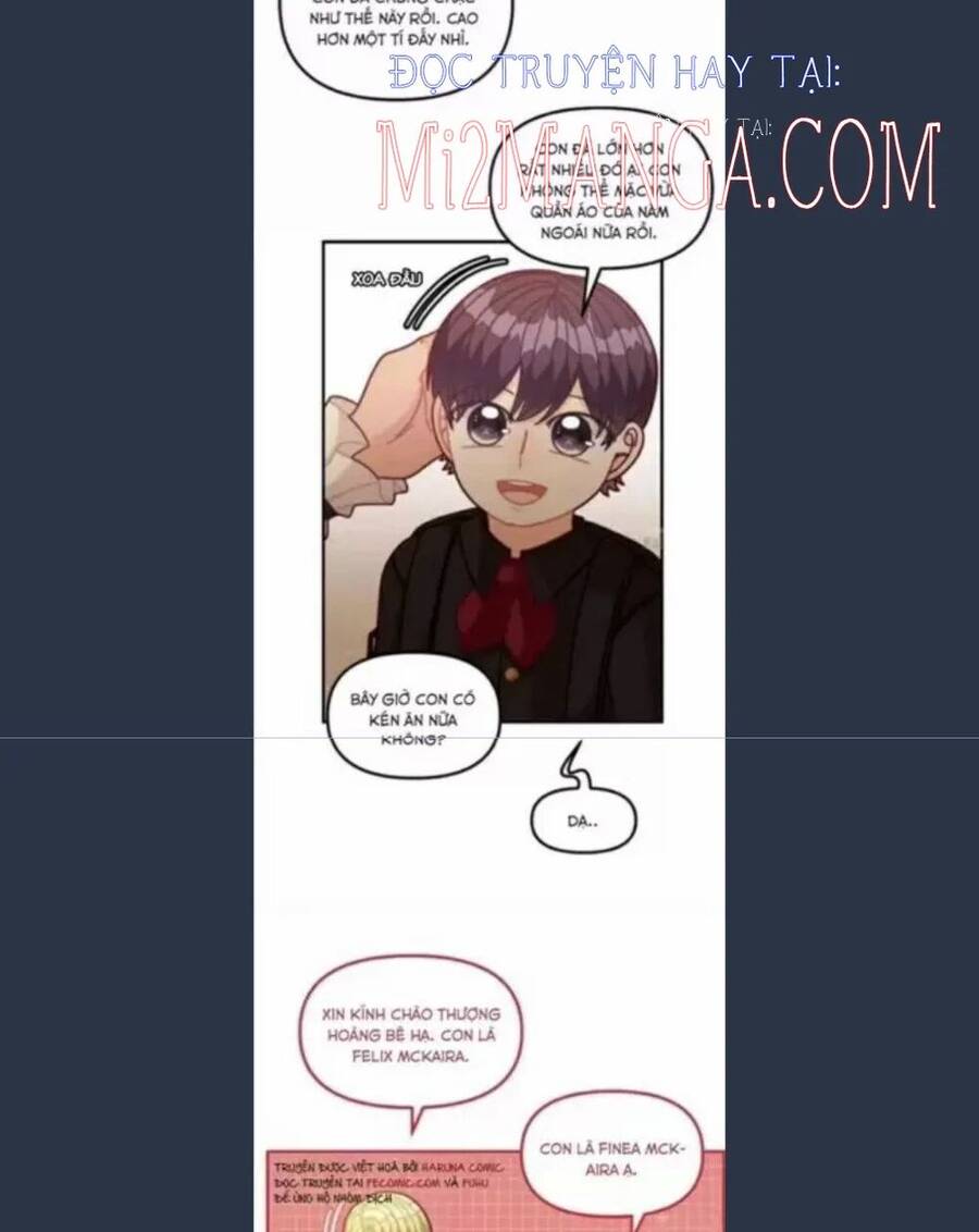 tôi chỉ là một tiểu thư bình thường chapter 69.5 35