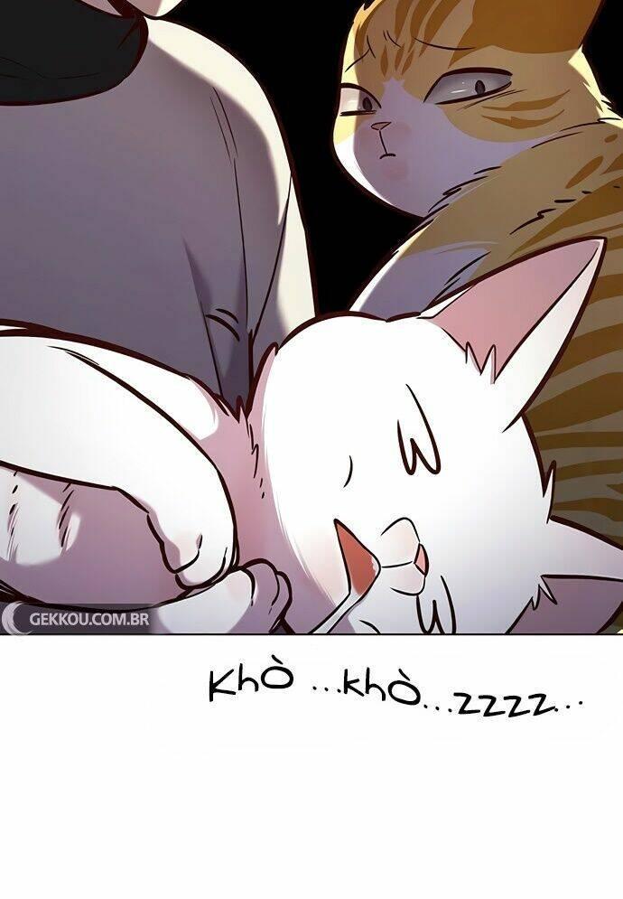 biến thân thành mèo chapter 188 12