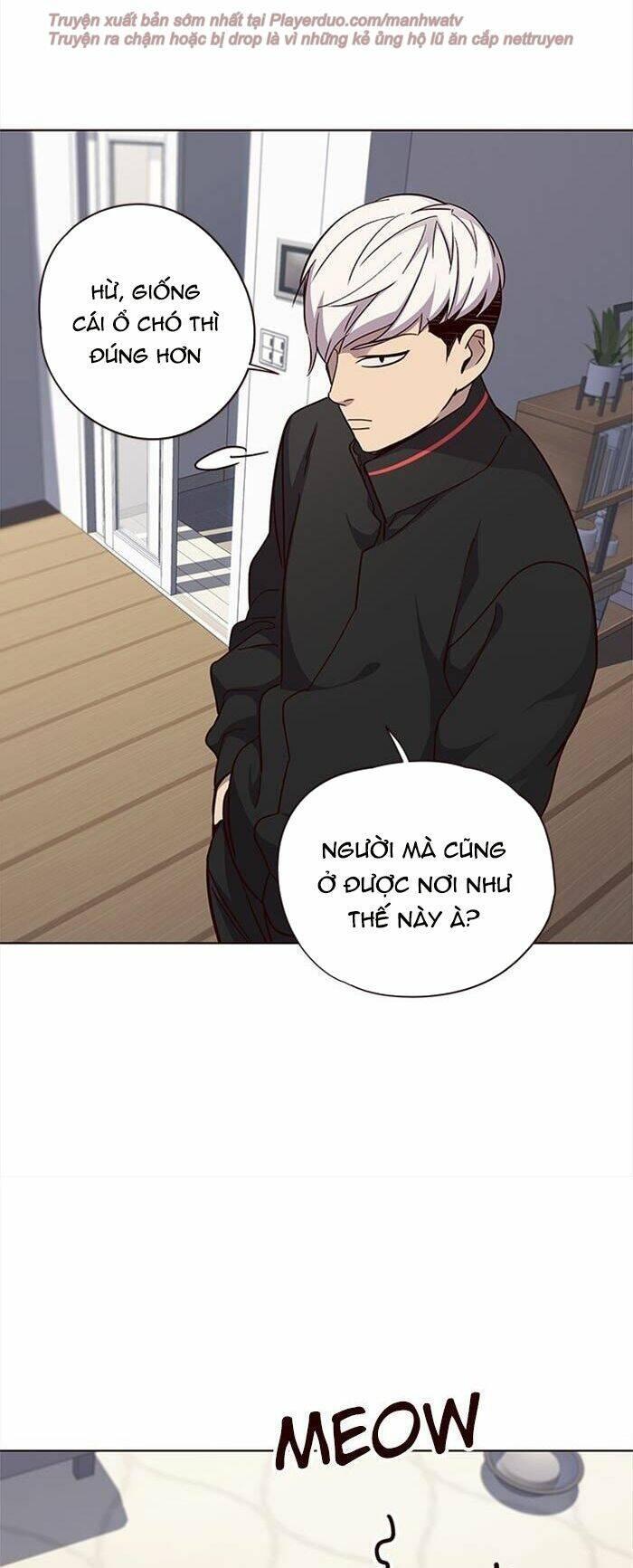 biến thân thành mèo chapter 35 9