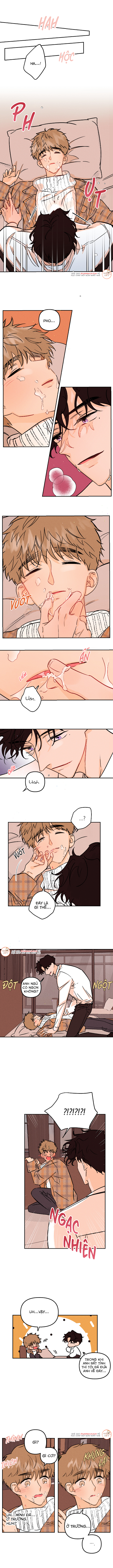 punk dunk funk chapter 21 4