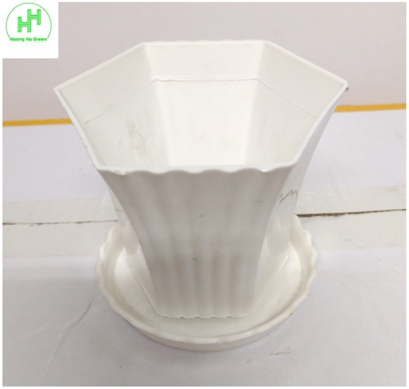 1 Chậu nhựa Lục giác Sen đá 100x80x60, trồng cây mini, xương rồng, cây để bàn, sen đá