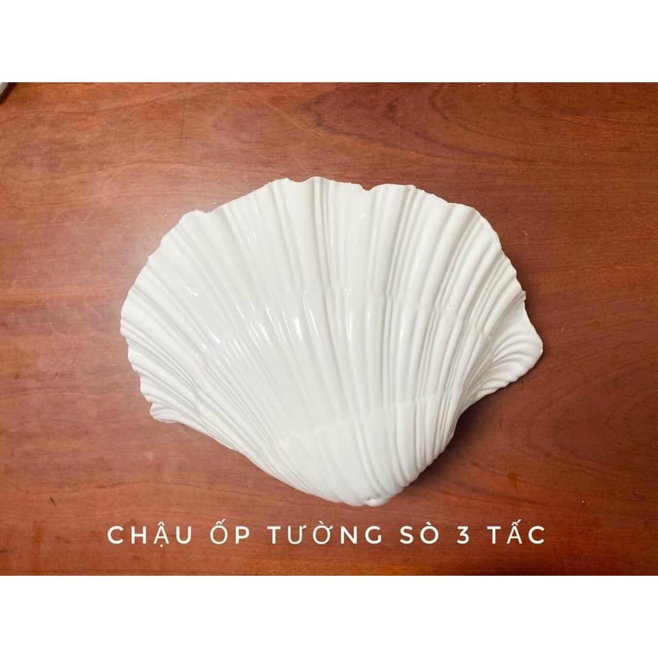 Chậu ốp tường vỏ sò, chậu ốp sò