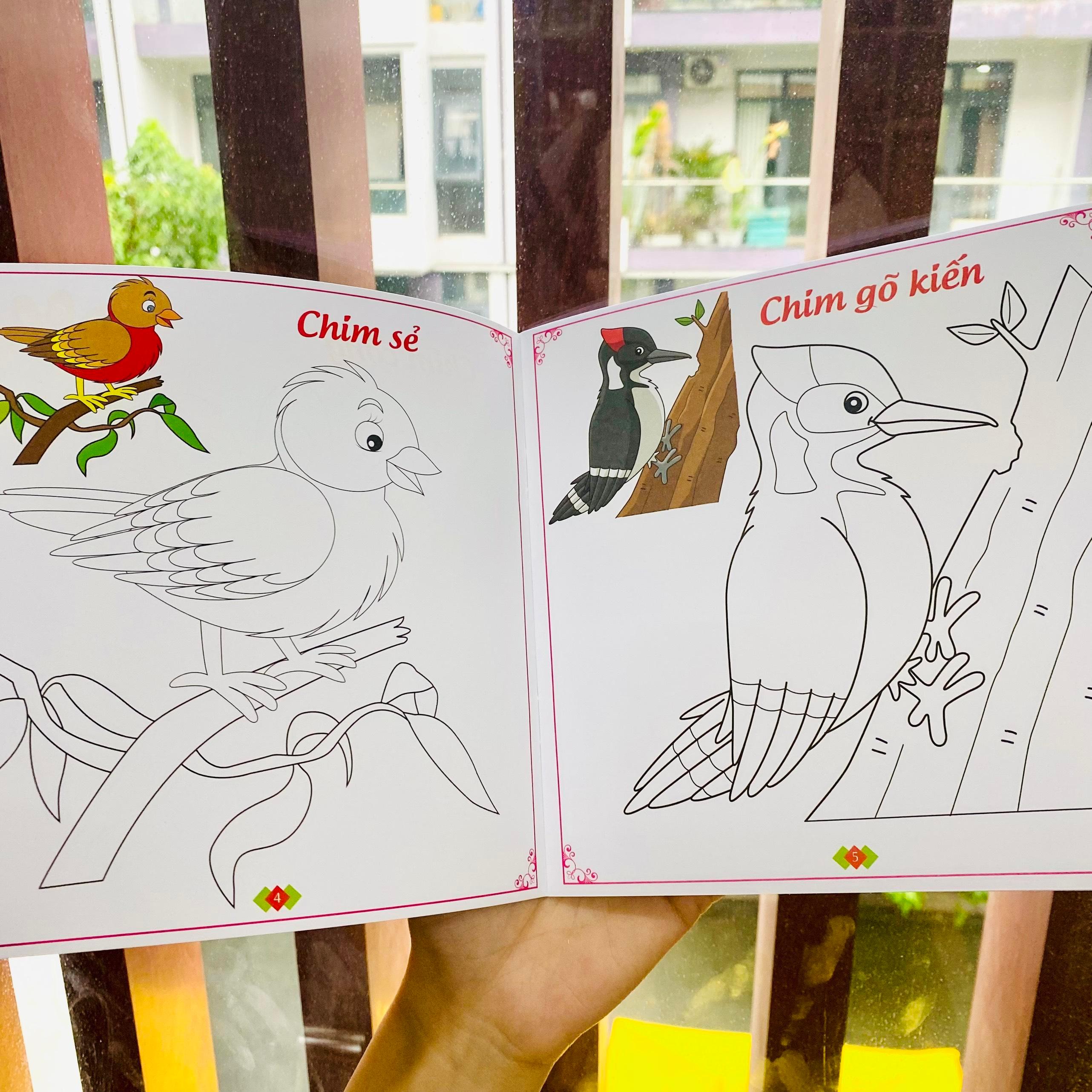 Sách - Bộ 9 Cuốn Sách Tô Màu Thông Minh - SBOOKS