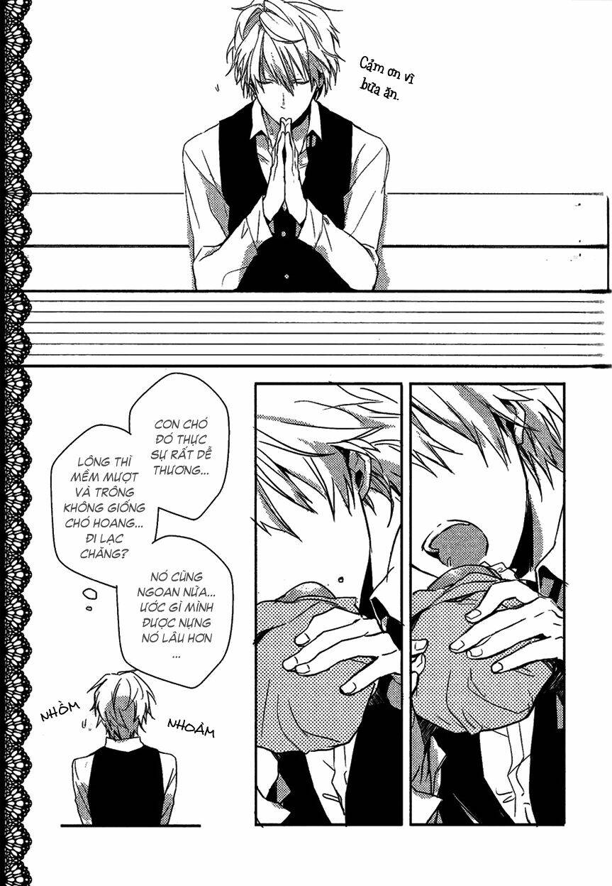 durarara!! doujinshi - 24 hours ~ daytime ~ chapter 0 13