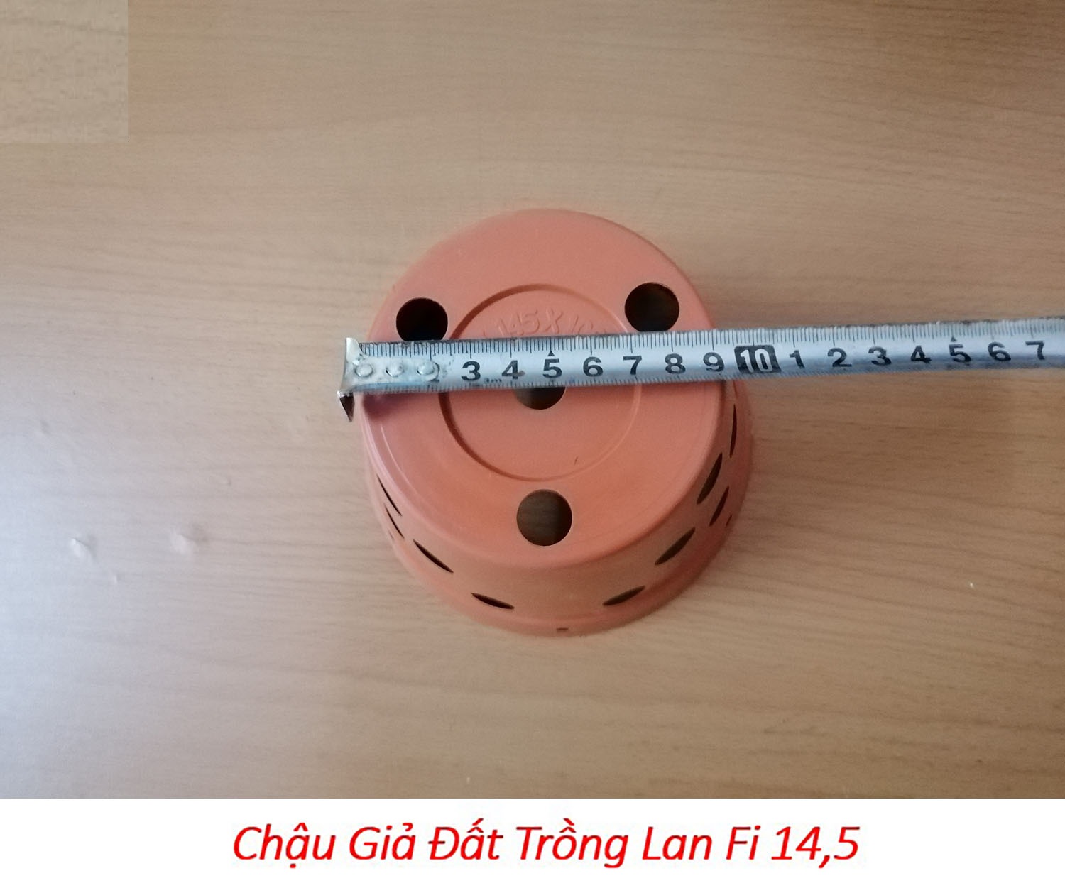 100 chậu giả đất trồng lan Fi 14.5 - đường kính 14.5cm