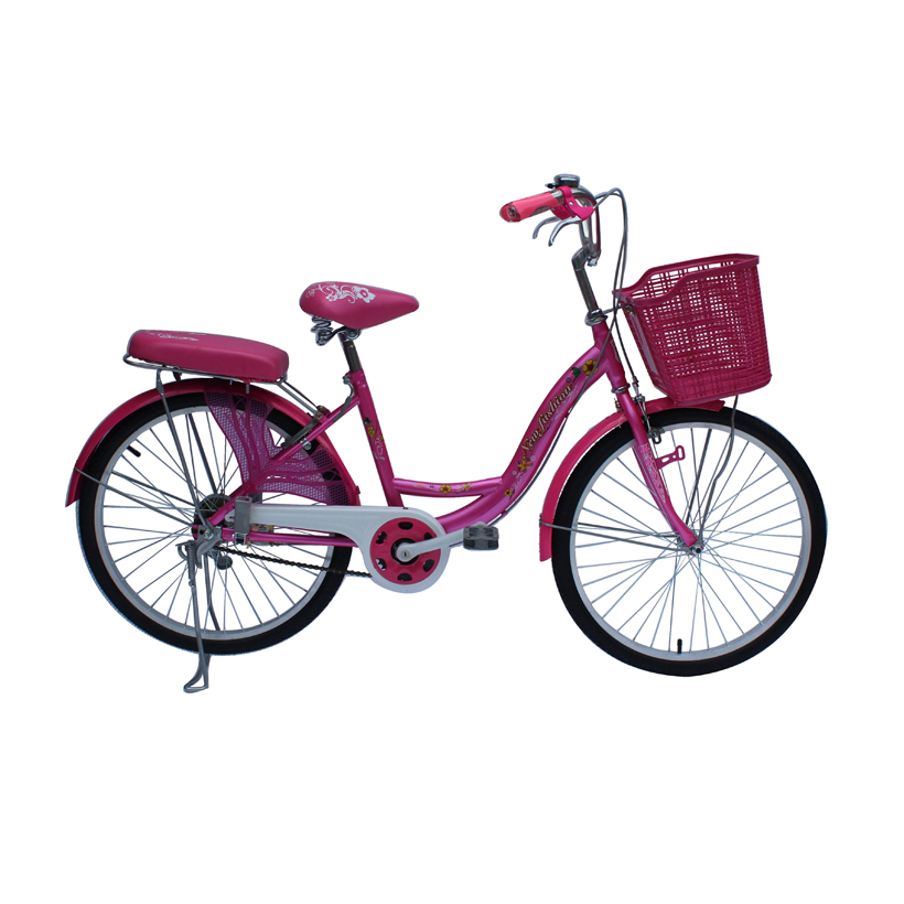 Xe Đạp Thời Trang SMNBike WR 24-01 - 24 inch ( 11+ tuổi )