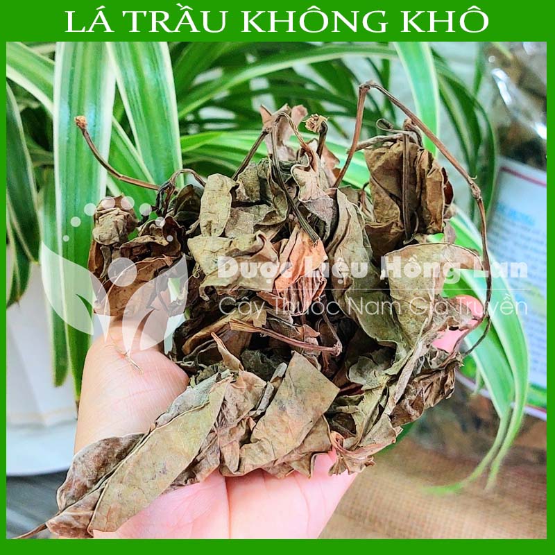500g Lá Trầu Không khô sạch loại 1