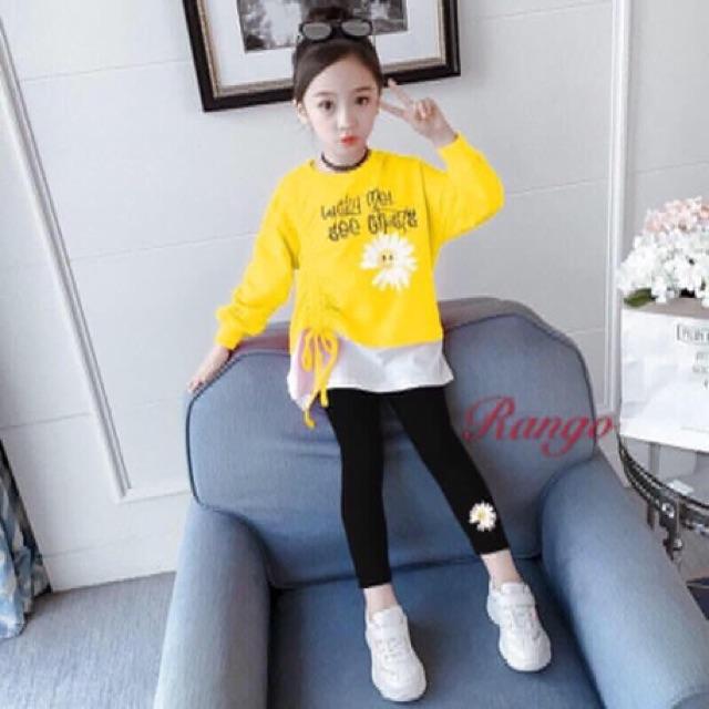 Bộ dài tay bé gái siêu xinh 10-22kg - M481