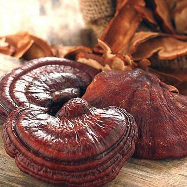 Nấm Linh Chi Rừng Thái Lát Chuẩn Nguyên Chất Loại 01 sp0