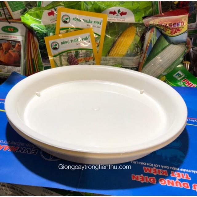 ĐĨA LÓT CHẬU CÂY CẢNH PHI 23