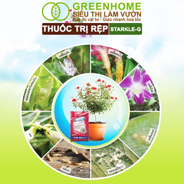 Thuốc Tím Trị Rệp Greenhome, Starkle-G, Bao 50gr, Lưu Dẫn, An Toàn, Hiệu Quả, Dùng Cho Sen Đá, Xương Rồng, Hoa hồng