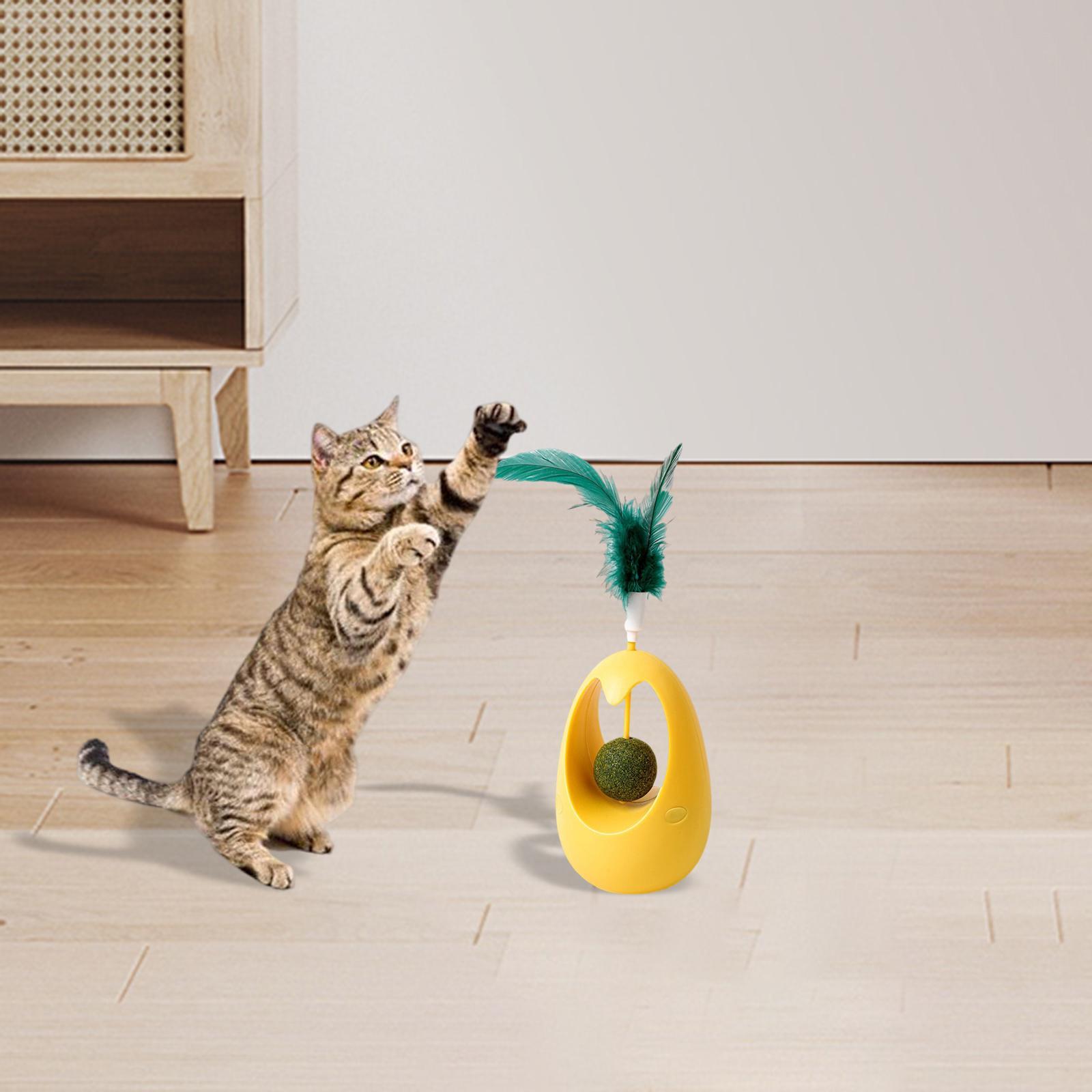 Interactive Cat Toys Pet Toy with Catnip Balls for Cats and Kitten Training