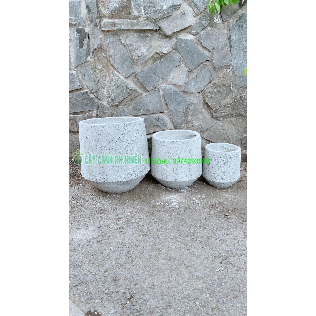 Bộ 3 Chậu Trồng Cây Chỉ Giao Hcm