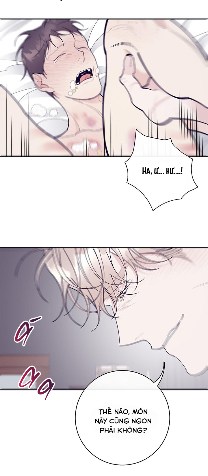 than van chapter 8 28