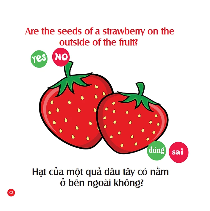 Rèn Luyện IQ-EQ-CQ - Mẹ Hỏi Bé Trả Lời 4 - Song Ngữ Anh-Việt